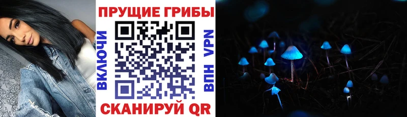 Галлюциногенные грибы Psilocybine cubensis Гай