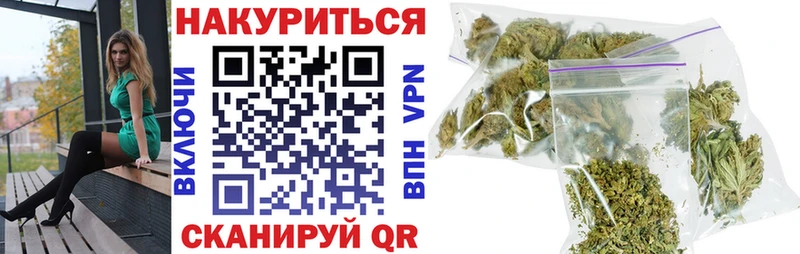 Шишки марихуана планчик  Гай 